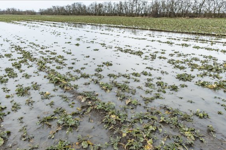 Agrometeorológia: nagy területeken, főleg az Alföldön és a Kisalföldön áll a víz földeken