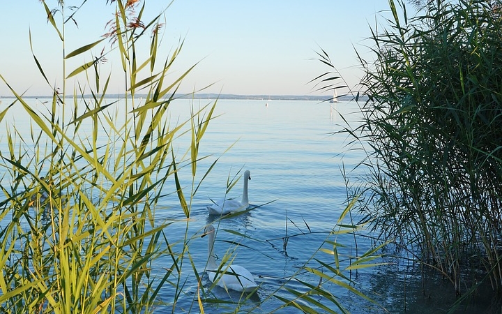 Jelentősen csökken 2100-ra a Balaton vízgyűjtő területén a vízkészlet